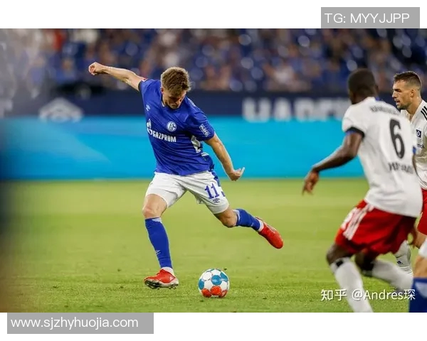 沙尔克04主场绝杀遭汉堡逆袭，降级危机愈发严重