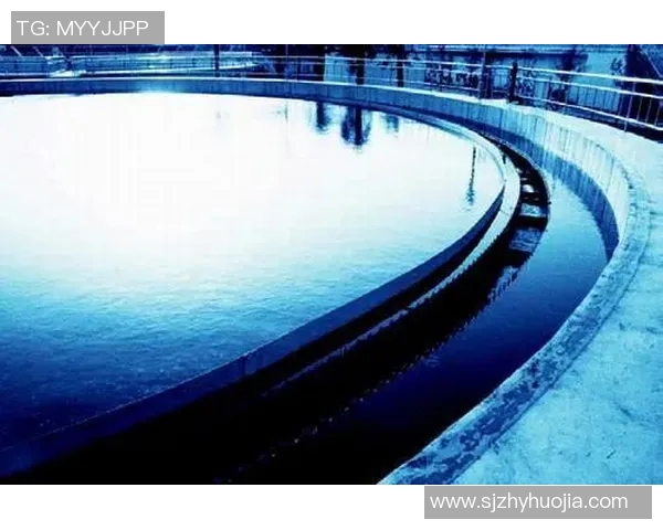 圣何塞地震与奥兰多的较量分析及其对城市发展的影响探讨