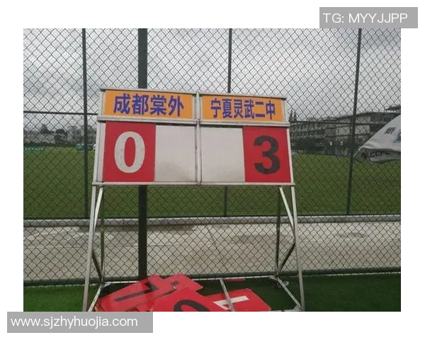 青海与宁夏足球对决精彩直播全程回顾与赛况分析