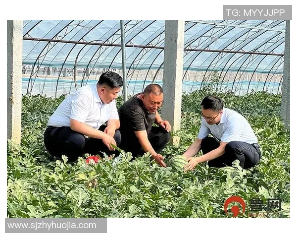 天山农商银行携手乡村振兴助力农业发展共创美好未来