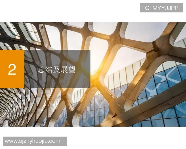 塞柏与纳夫特的对决分析及比赛前瞻展望