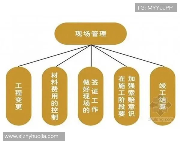 拳种的多样性与发展历程探讨及其在现代社会中的应用与影响