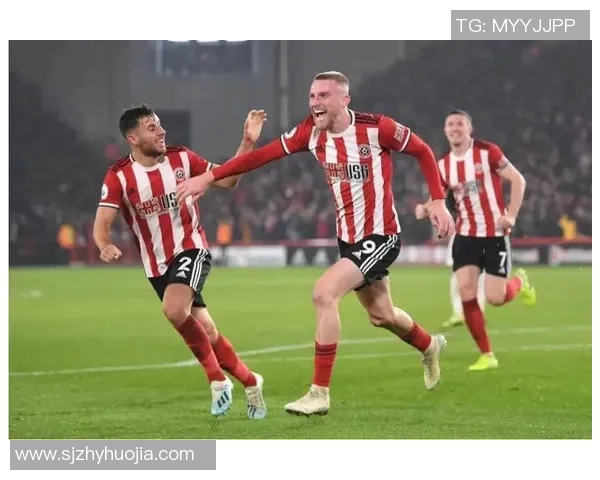 朴次茅斯与桑德兰激战正酣比赛结果揭晓引发热议