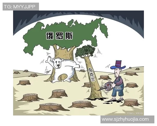 赖斯的外交策略与全球局势变迁的深刻影响分析