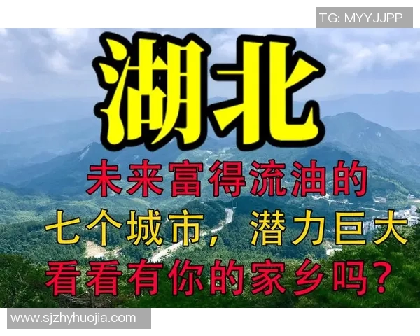 沈阳城建与南通的对决分析及未来发展潜力探讨