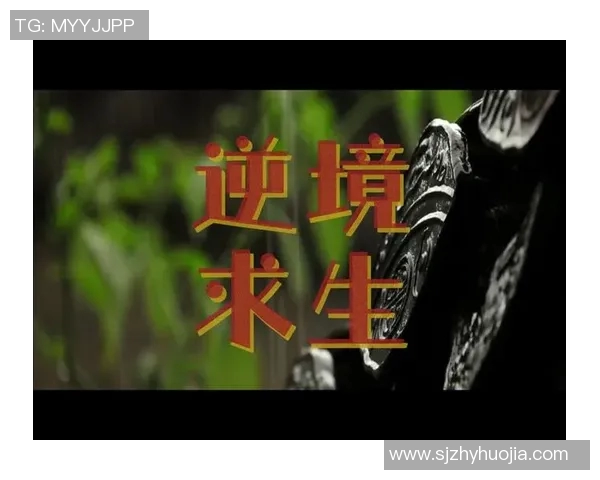 史鸿飞的传奇人生与奋斗历程揭秘，探索他如何在逆境中崛起成就辉煌