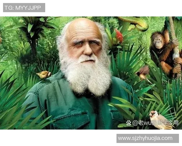 马什本的奇幻冒险之旅探索未知世界的奥秘与挑战