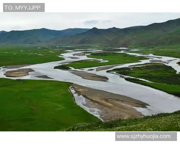 马力克的传奇旅程从草原到城市的奋斗与梦想