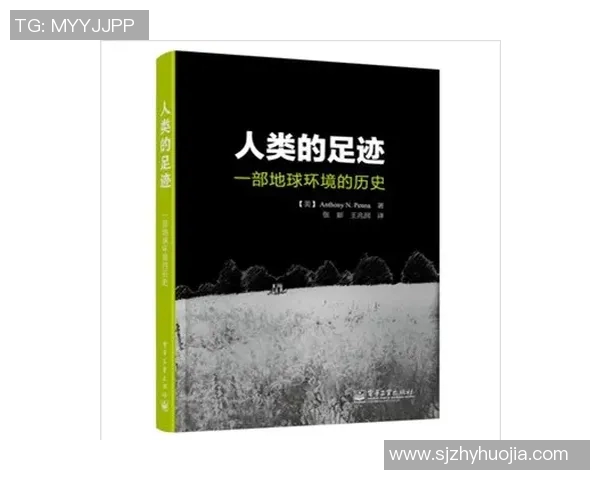 纳萨尔的崛起与影响力探讨：从历史到现代的深度剖析与思考