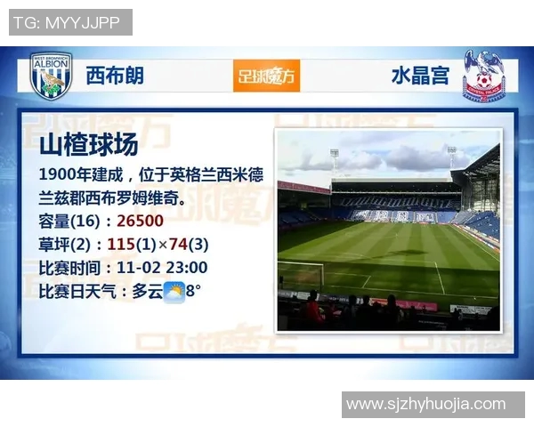 免费看足球比赛直播的最佳电视APP推荐与使用指南