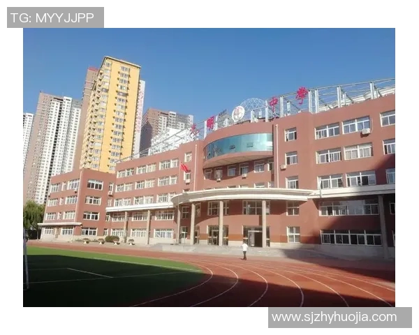 王少杰的奋斗历程与人生哲学探索：从平凡到卓越的成长之路