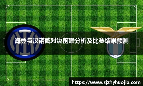 海登与汉诺威对决前瞻分析及比赛结果预测